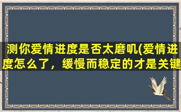 测你爱情进度是否太磨叽(爱情进度怎么了，缓慢而稳定的才是关键！)