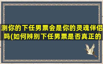 测你的下任男票会是你的灵魂伴侣吗(如何辨别下任男票是否真正的灵魂伴侣？)