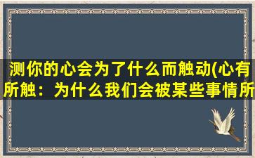 测你的心会为了什么而触动(心有所触：为什么我们会被某些事情所感动？)