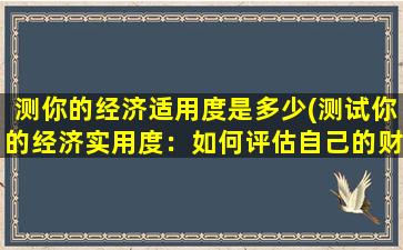 测你的经济适用度是多少(测试你的经济实用度：如何评估自己的财务管理水平？)