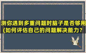 测你遇到多重问题时脑子是否够用(如何评估自己的问题解决能力？)