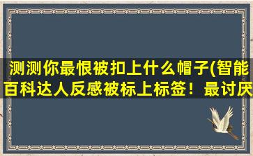 测测你最恨被扣上什么帽子(智能百科达人反感被标上标签！最讨厌被妖魔化的人情绪分析)