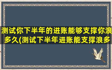 测试你下半年的进账能够支撑你浪多久(测试下半年进账能支撑浪多久，分析财务状况！)