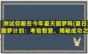 测试你能在今年夏天圆梦吗(夏日圆梦计划：考验智慧，揭秘成功之道。)