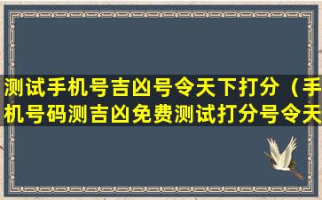 测试手机号吉凶号令天下打分（手机号码测吉凶免费测试打分号令天下）