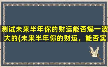 测试未来半年你的财运能否爆一波大的(未来半年你的财运，能否实现大爆发？看看这个测试就知道！)