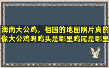 海南大公鸡，祖国的地图照片真的像大公鸡吗鸡头是哪里鸡尾是哪里