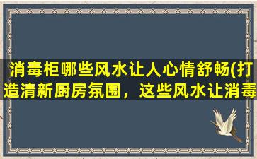 消毒柜哪些风水让人心情舒畅(打造清新厨房氛围，这些风水让消毒柜焕发舒适*魅力！)