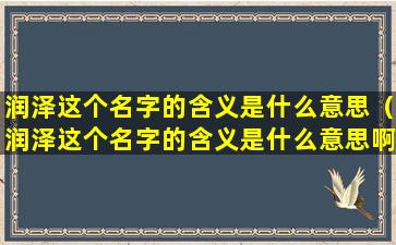 润泽这个名字的含义是什么意思（润泽这个名字的含义是什么意思啊）