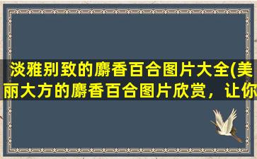 淡雅别致的麝香百合图片大全(美丽大方的麝香百合图片欣赏，让你的心情静享优美花海)