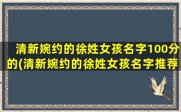 清新婉约的徐姓女孩名字100分的(清新婉约的徐姓女孩名字推荐大全，百分百满分！)