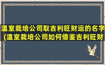 温室栽培公司取吉利旺财运的名字(温室栽培公司如何借鉴吉利旺财运的经验？)