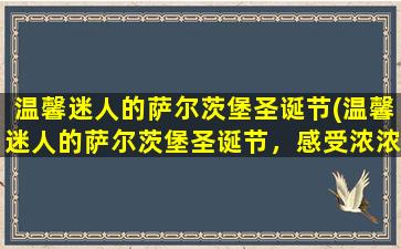 温馨迷人的萨尔茨堡圣诞节(温馨迷人的萨尔茨堡圣诞节，感受浓浓节日气息)