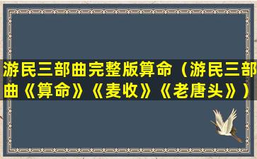 游民三部曲完整版算命（游民三部曲《算命》《麦收》《老唐头》）