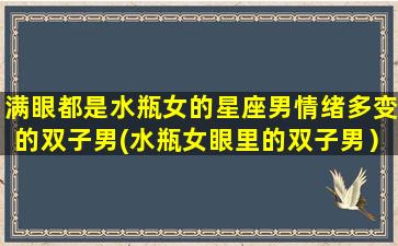 满眼都是水瓶女的星座男情绪多变的双子男(水瓶女眼里的双子男）