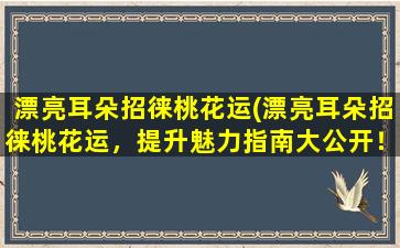 漂亮耳朵招徕桃花运(漂亮耳朵招徕桃花运，提升魅力指南大公开！)