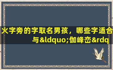 火字旁的字取名男孩，哪些字适合与“伽峰峦”搭配