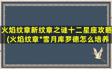 火焰纹章新纹章之谜十二星座攻略(火焰纹章*雪月库罗德怎么培养)