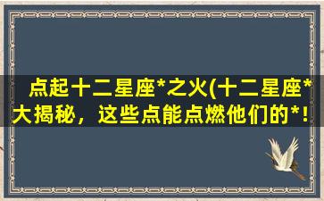 点起十二星座*之火(十二星座*大揭秘，这些点能点燃他们的*！)