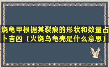 烧龟甲根据其裂痕的形状和数量占卜吉凶（火烧乌龟壳是什么意思）