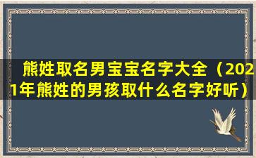 熊姓取名男宝宝名字大全（2021年熊姓的男孩取什么名字好听）