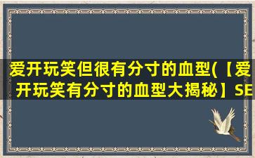 爱开玩笑但很有分寸的血型(【爱开玩笑有分寸的血型大揭秘】SEO优化)