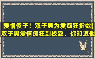 爱情傻子！双子男为爱痴狂指数(双子男爱情痴狂到极致，你知道他们有多傻吗？)