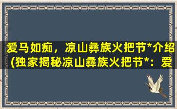 爱马如痴，凉山彝族火把节*介绍(独家揭秘凉山彝族火把节*：爱马如痴的民俗盛宴)