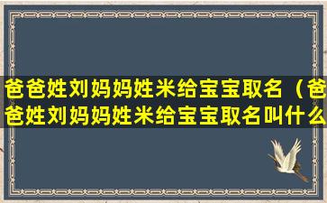 爸爸姓刘妈妈姓米给宝宝取名（爸爸姓刘妈妈姓米给宝宝取名叫什么）