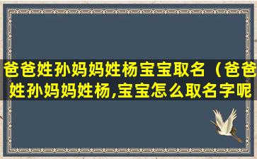 爸爸姓孙妈妈姓杨宝宝取名（爸爸姓孙妈妈姓杨,宝宝怎么取名字呢）