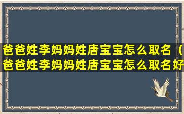 爸爸姓李妈妈姓唐宝宝怎么取名（爸爸姓李妈妈姓唐宝宝怎么取名好听）