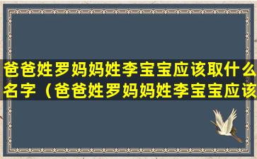 爸爸姓罗妈妈姓李宝宝应该取什么名字（爸爸姓罗妈妈姓李宝宝应该取什么名字好听）