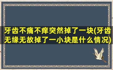 牙齿不痛不痒突然掉了一块(牙齿无缘无故掉了一小块是什么情况)