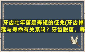 牙齿壮年落是寿短的征兆(牙齿掉落与寿命有关系吗？牙齿脱落，寿命减少是真的吗？)