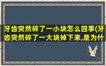 牙齿突然碎了一小块怎么回事(牙齿突然碎了一大块掉下来,是为什么该怎)