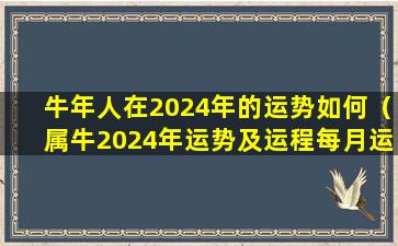 牛年人在2024年的运势如何（属牛2024年运势及运程每月运程大家找算命网）