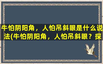 牛怕阴阳角，人怕吊斜眼是什么说法(牛怕阴阳角，人怕吊斜眼？探寻其中的历史典故和心理学解释)