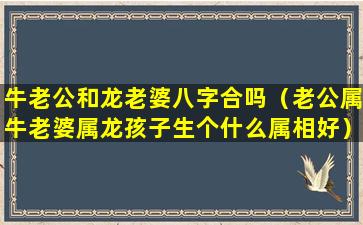 牛老公和龙老婆八字合吗（老公属牛老婆属龙孩子生个什么属相好）