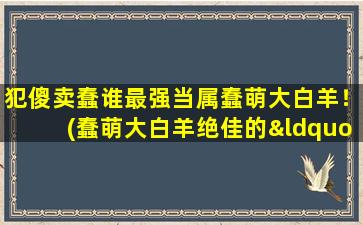 犯傻卖蠢谁最强当属蠢萌大白羊！(蠢萌大白羊绝佳的“犯傻卖蠢”功力引人注目！)