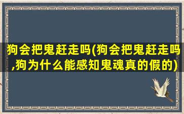 狗会把鬼赶走吗(狗会把鬼赶走吗,狗为什么能感知鬼魂真的假的)