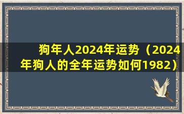 狗年人2024年运势（2024年狗人的全年运势如何1982）