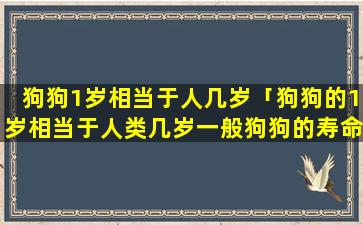 狗狗1岁相当于人几岁「狗狗的1岁相当于人类几岁一般狗狗的寿命有多长」