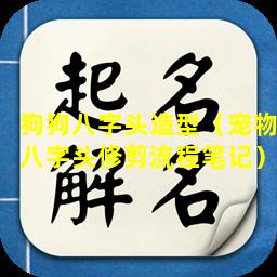 狗狗八字头造型（宠物八字头修剪流程笔记）