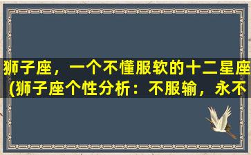 狮子座，一个不懂服软的十二星座(狮子座个性分析：不服输，永不服软的星座特点解析)