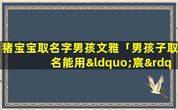 猪宝宝取名字男孩文雅「男孩子取名能用“宸”字吗」