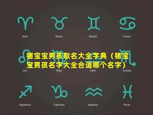 猪宝宝男孩取名大全字典（猪宝宝男孩名字大全合适哪个名字）