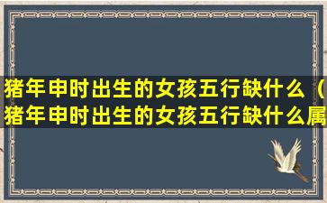 猪年申时出生的女孩五行缺什么（猪年申时出生的女孩五行缺什么属性）