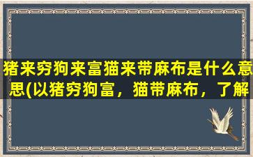 猪来穷狗来富猫来带麻布是什么意思(以猪穷狗富，猫带麻布，了解这个寓意是如何影响现代社会的。)