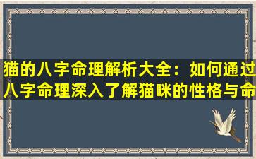 猫的八字命理解析大全：如何通过八字命理深入了解猫咪的性格与命运