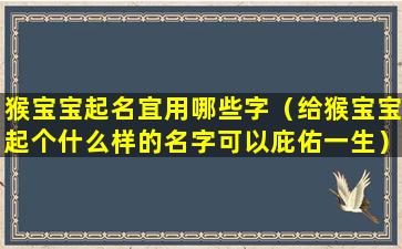 猴宝宝起名宜用哪些字（给猴宝宝起个什么样的名字可以庇佑一生）